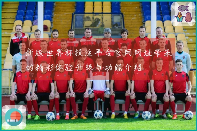 新版世界杯投注平台官网网址带来的精彩体验升级与功能介绍
