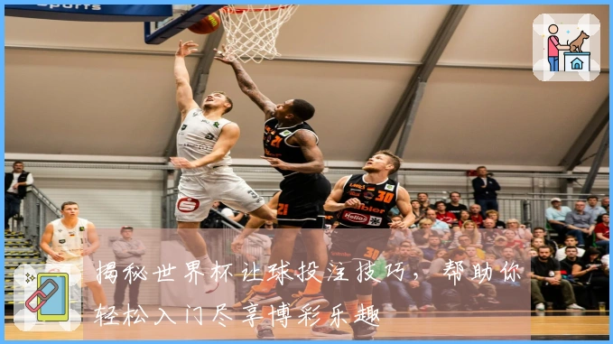 揭秘世界杯让球投注技巧，帮助你轻松入门尽享博彩乐趣