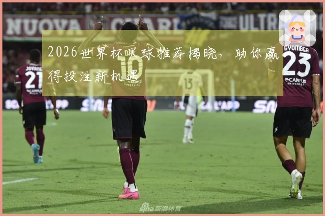 2026世界杯买球推荐揭晓，助你赢得投注新机遇