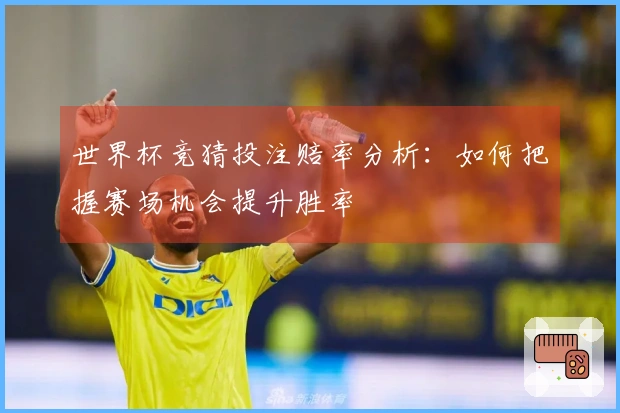 世界杯竞猜投注赔率分析：如何把握赛场机会提升胜率
