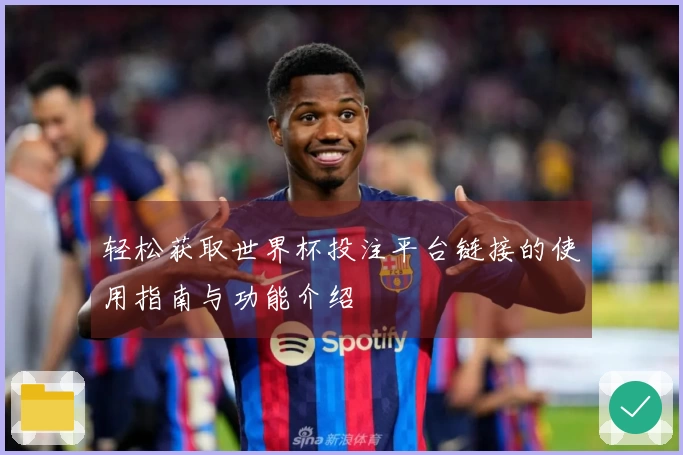 轻松获取世界杯投注平台链接的使用指南与功能介绍