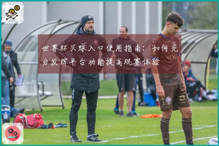 世界杯买球入口使用指南：如何充分发挥平台功能提高观赛体验