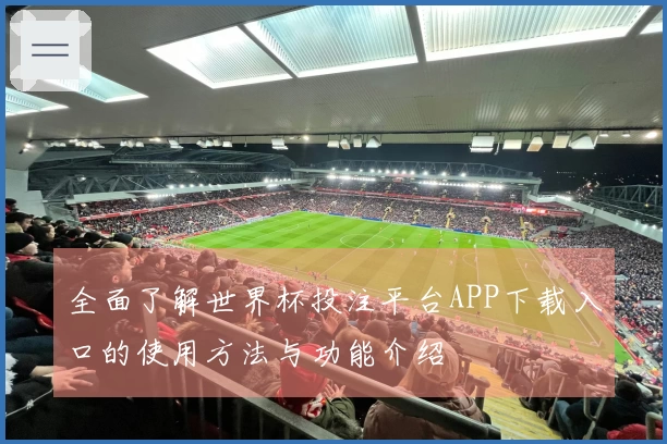 全面了解世界杯投注平台APP下载入口的使用方法与功能介绍