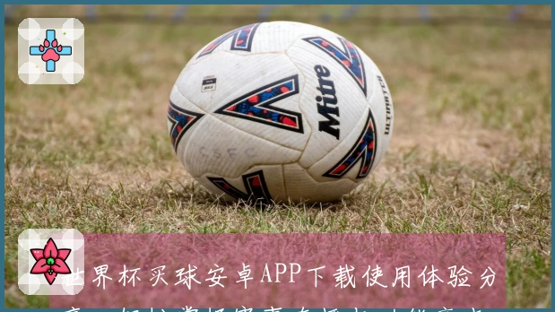 世界杯买球安卓APP下载使用体验分享：轻松掌握赛事直播与功能亮点
